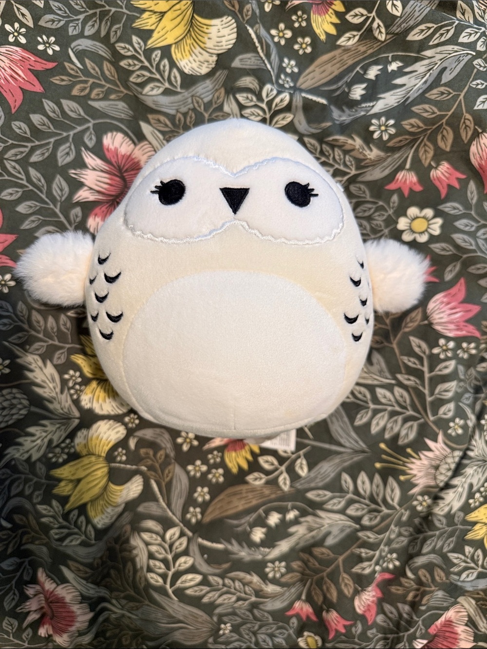 Hedwig Squishmallow- 6.5”